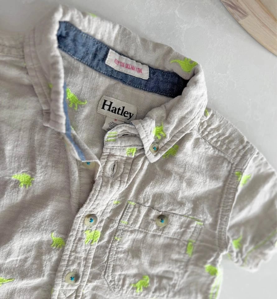 Hatley Boys Dinosaur Print Button Down Shirt (Size 2)