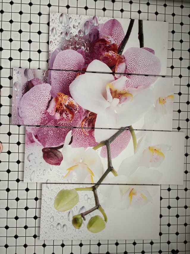Orchid Wall Art 4-Piece Set