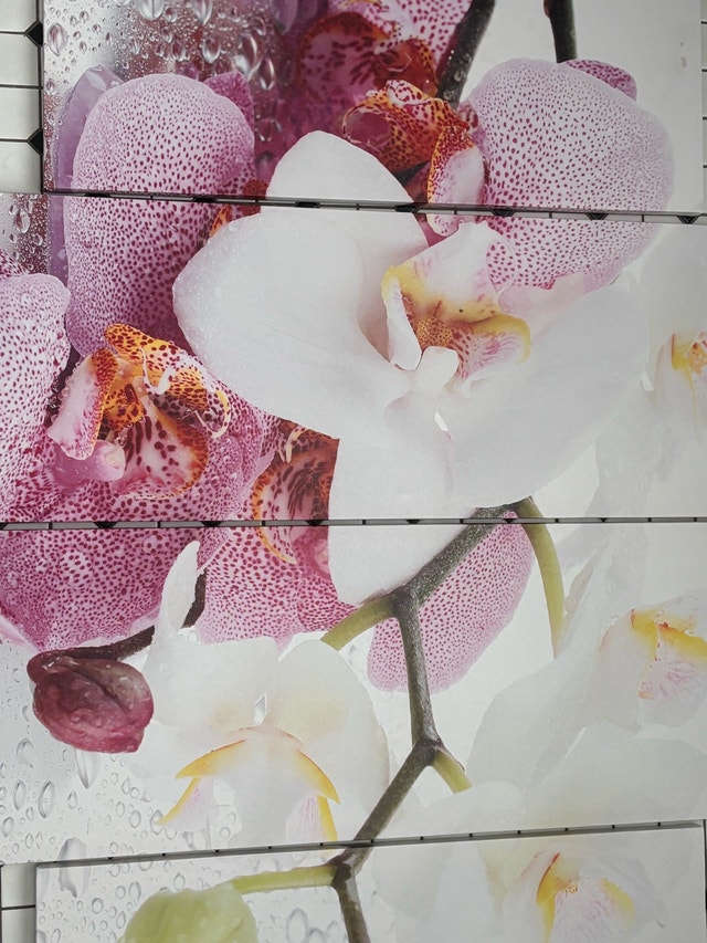 Orchid Wall Art 4-Piece Set - photo 2