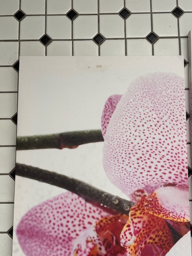 Orchid Wall Art 4-Piece Set - photo 3