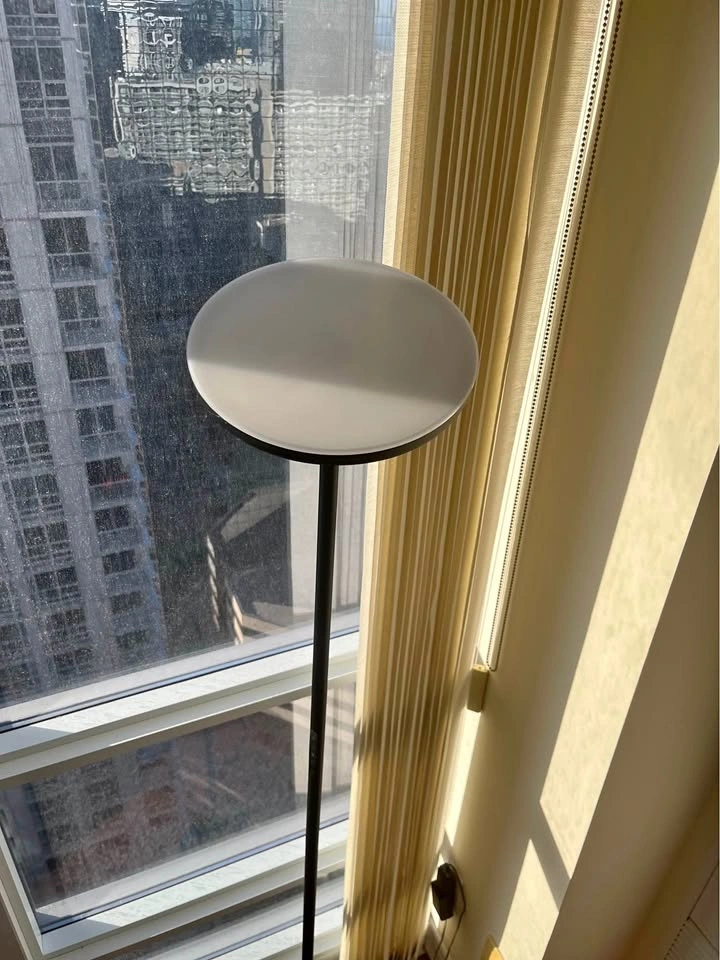 Modern LED Torchiere Floor Lamp