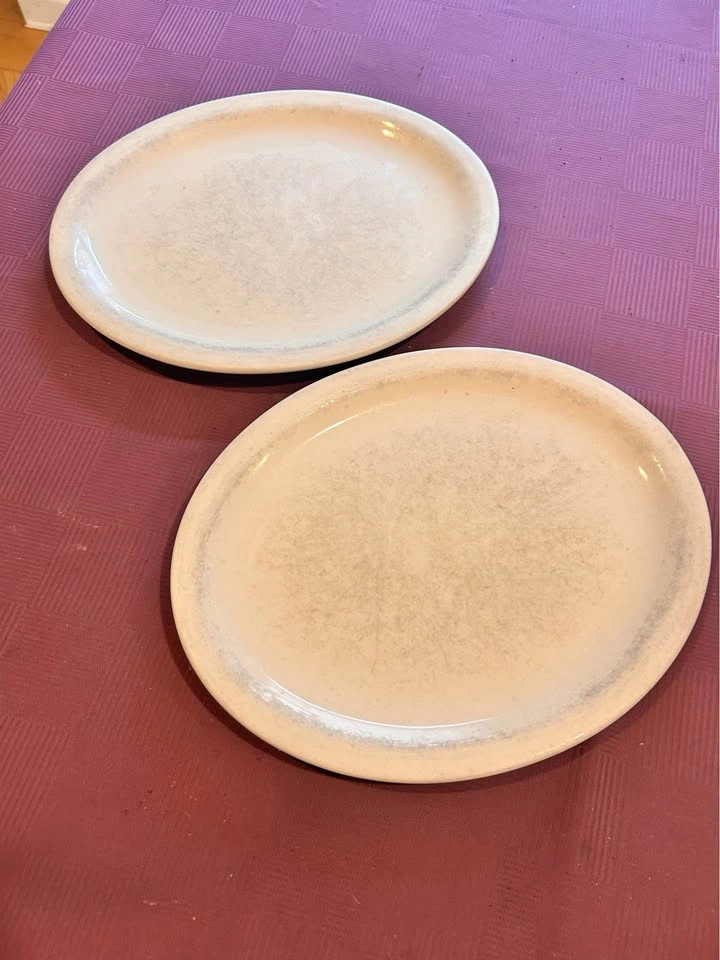 Heavy Dinner Plates