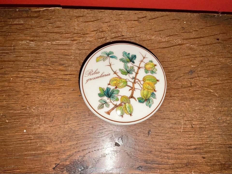 Vintage Villeroy & Boch Botanica Covered Porcelain Dish