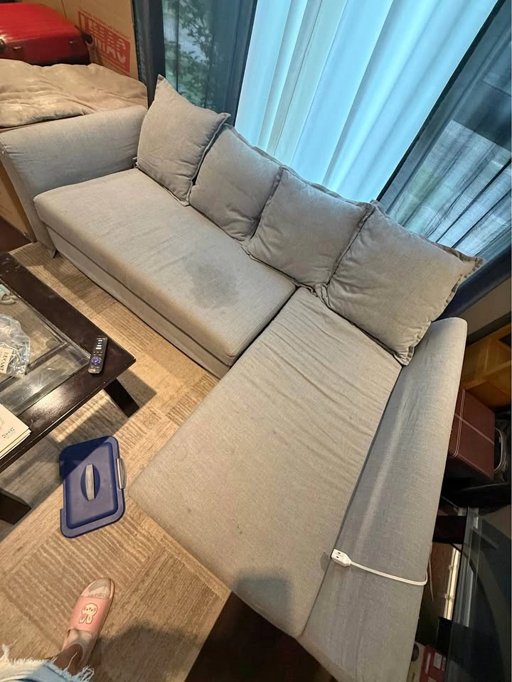 IKEA HOLMSUND Sleeper Sofa