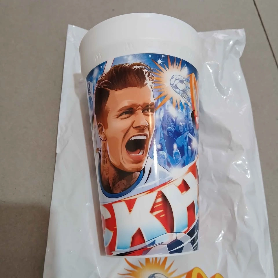 McDonald's FIFA World Cup - photo 2