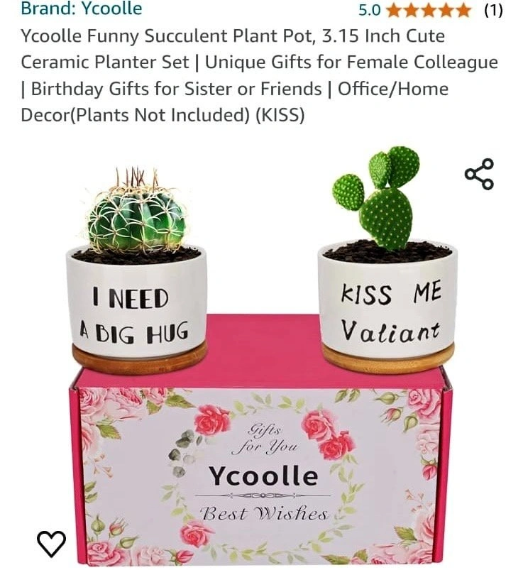 Ceramic plant pot (Set of 2) Brand New