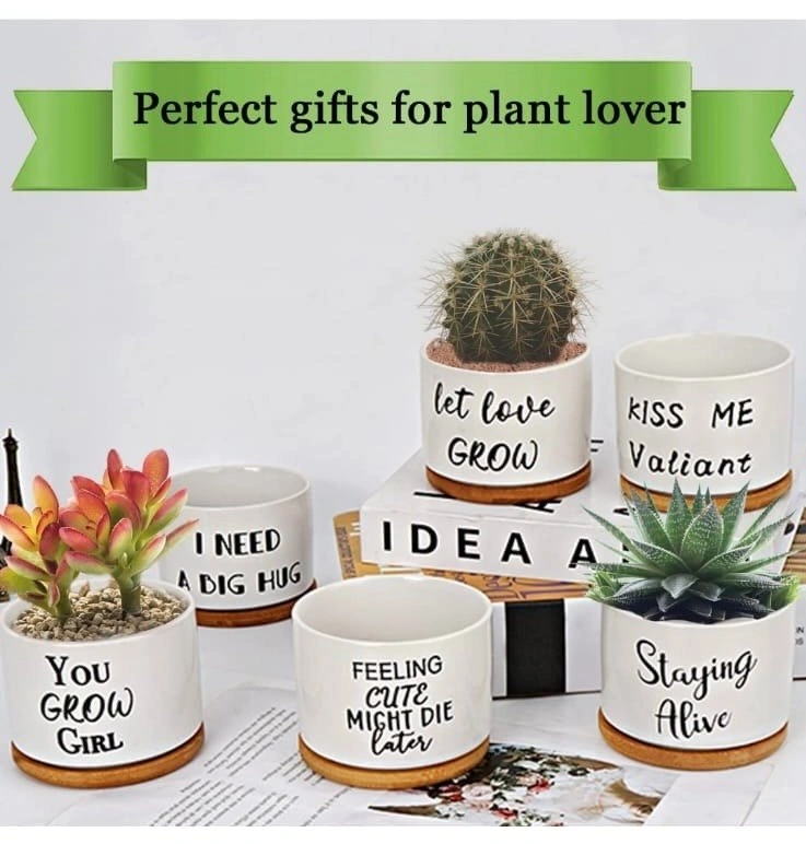 Ceramic plant pot (Set of 2) Brand New - photo 3