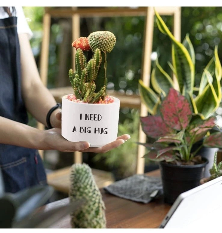 Ceramic plant pot (Set of 2) Brand New - photo 4