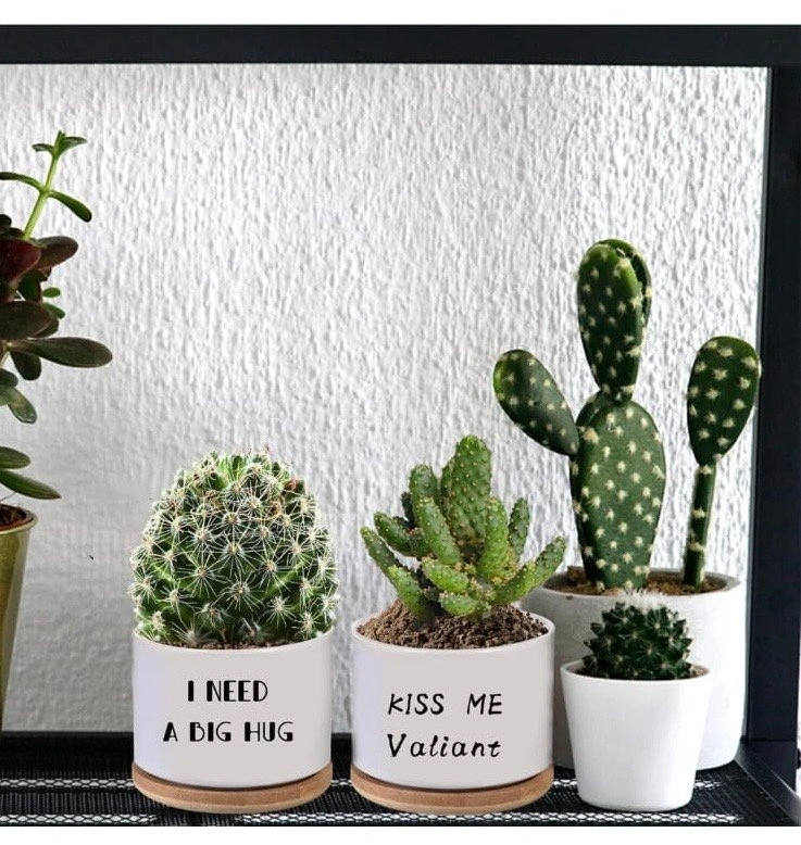 Ceramic plant pot (Set of 2) Brand New - photo 5