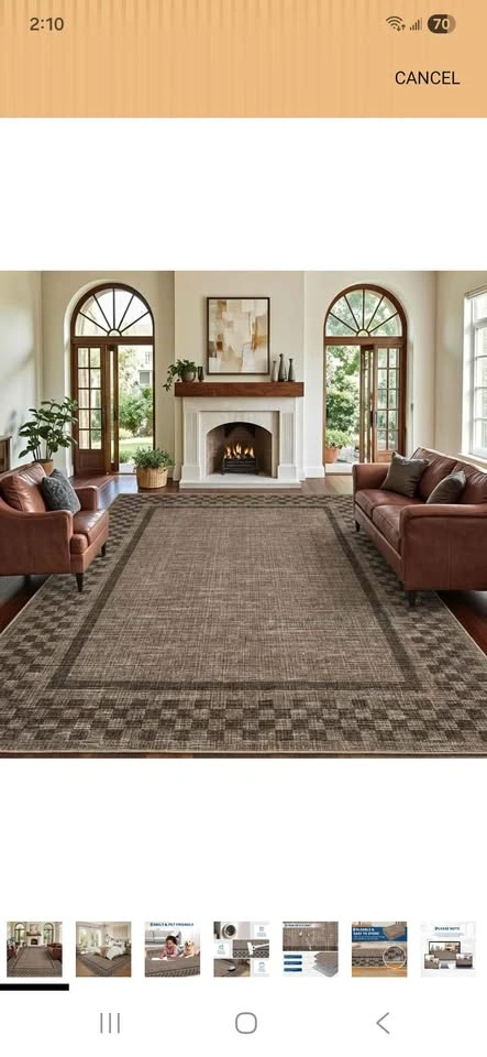Brand New! 8x10 living Area Rug - photo 2