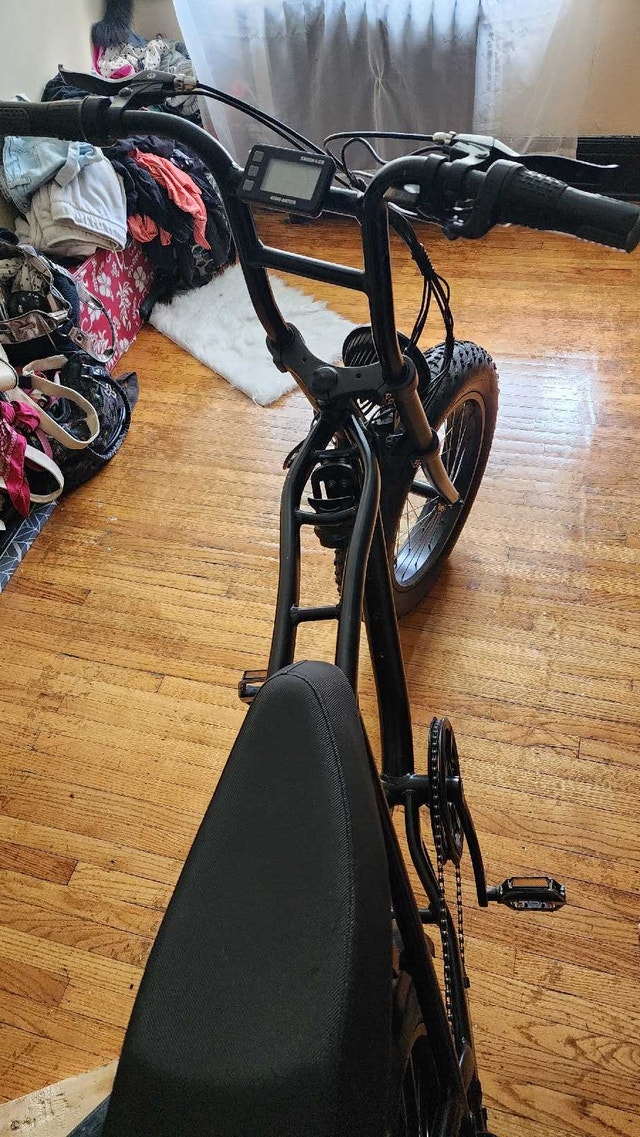 Orbiter Playa Edition Electric Bike - photo 4