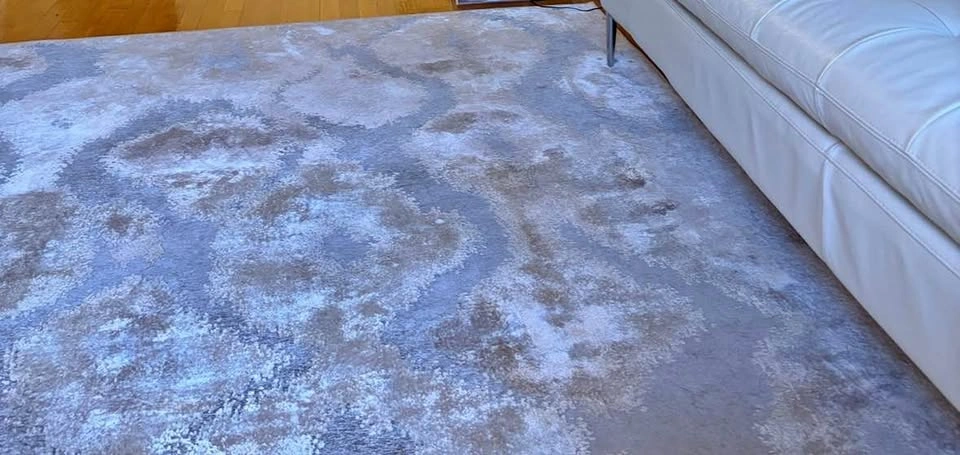 Saphir Zam Pewter/Gray Area Rug
