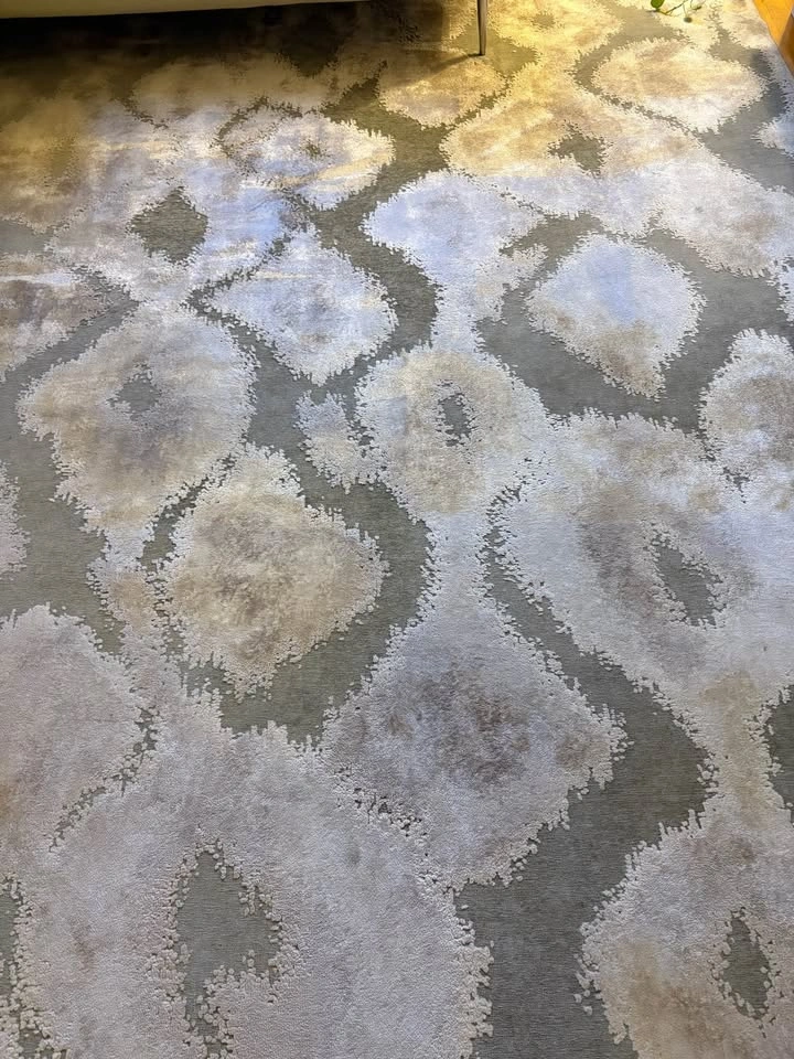 Saphir Zam Pewter/Gray Area Rug - photo 5