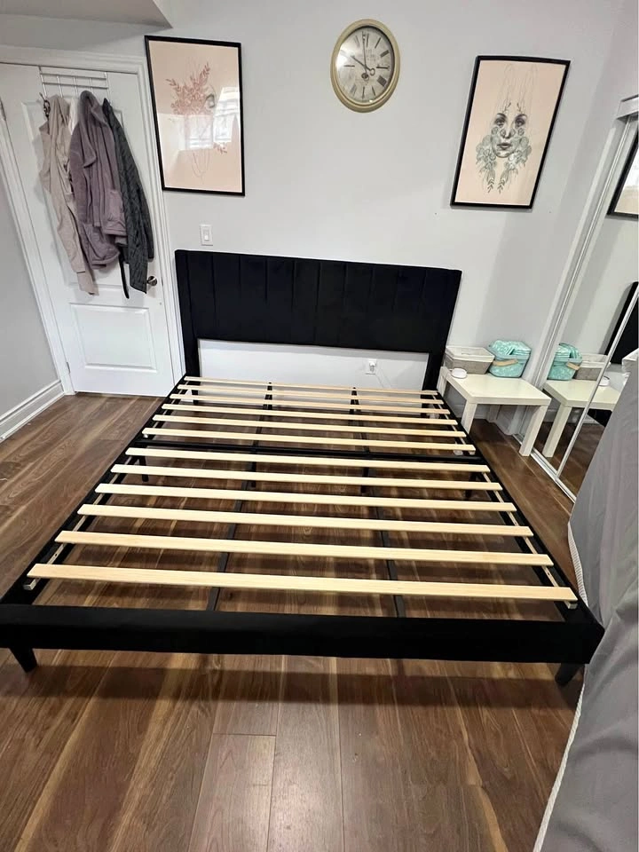 King Size Cleo Velvet Platform Bed + Douglas Mattress