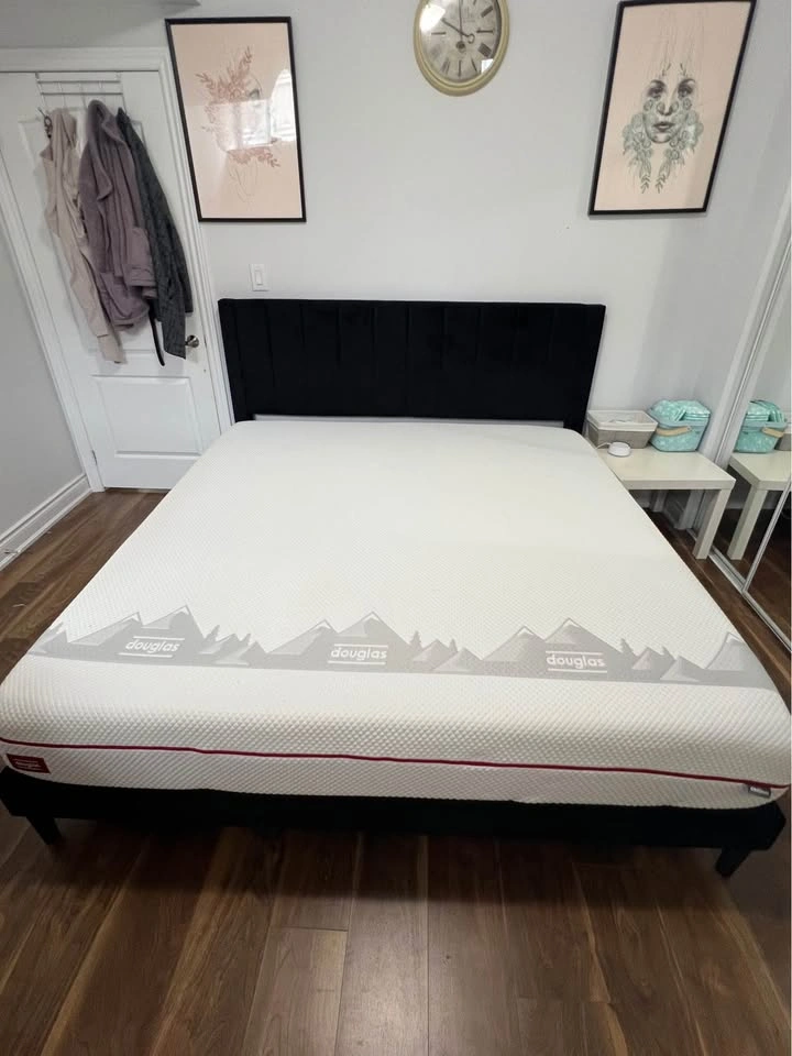 King Size Cleo Velvet Platform Bed + Douglas Mattress - photo 2