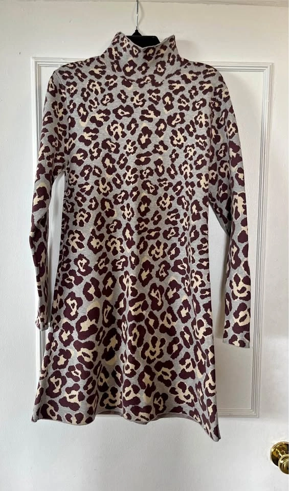 Zara Women’s Dress