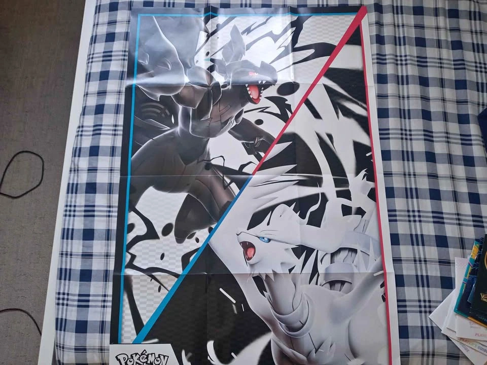 Poster pokemon