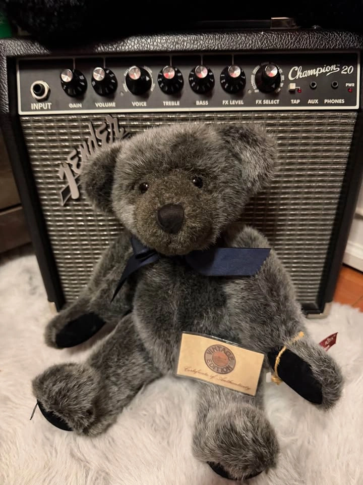 Collectible Teddy Bear Plush with Tags vintage - photo 3
