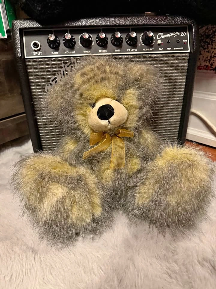 Soft Plush Teddy Bear - Like New