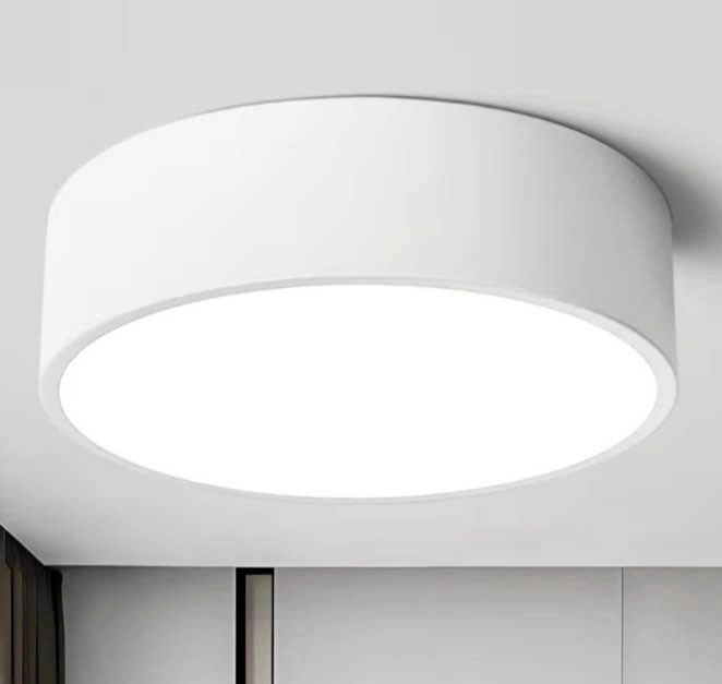 Round Ceiling Light