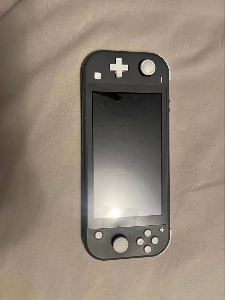 Nintendo switch lite