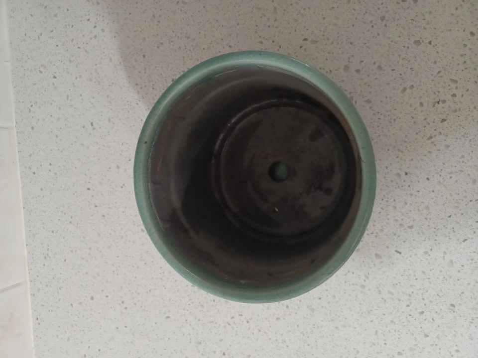 Ceramic Plant Pot - photo 2