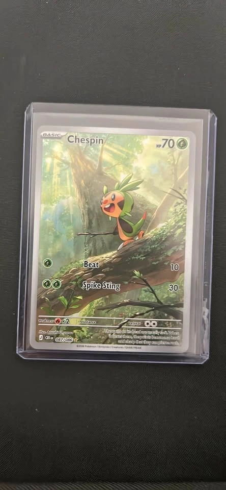Pokemon - Chespin IR