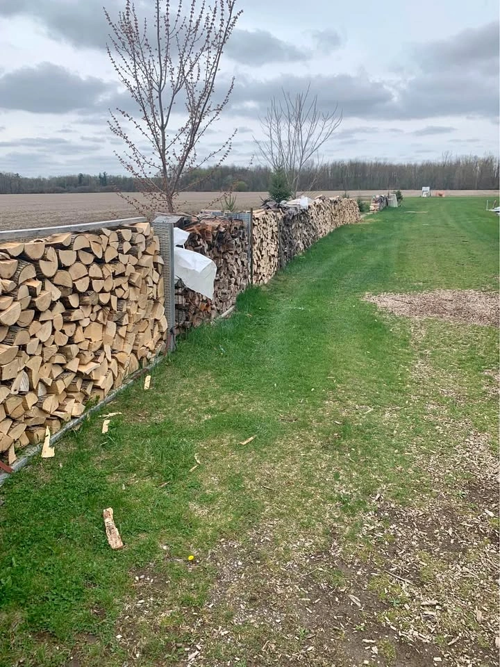 Firewood for sale back in stock