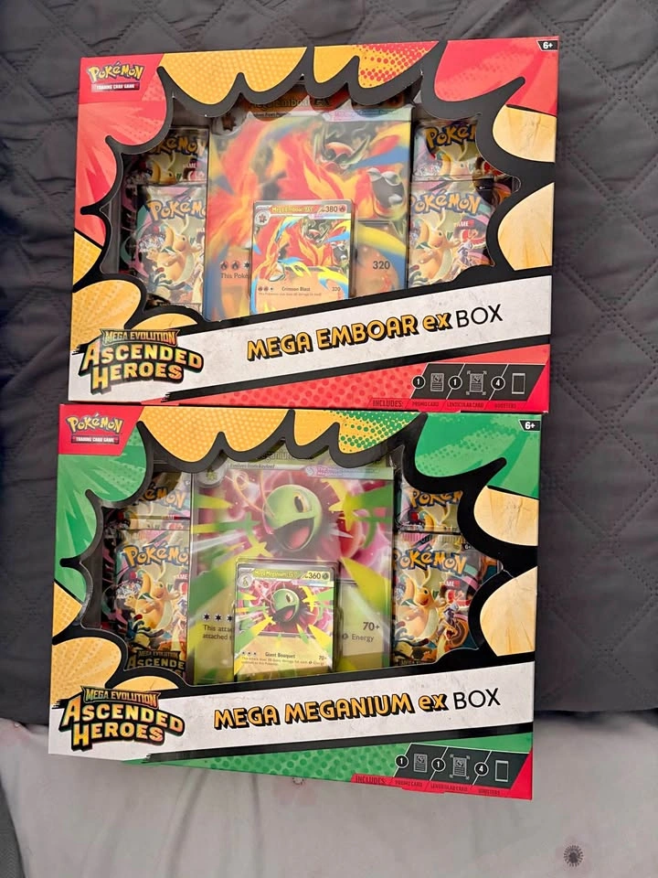 Ascended heroes ex box
