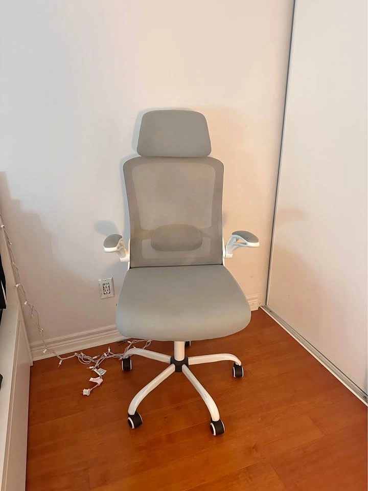 Ergonomic Office Chair
