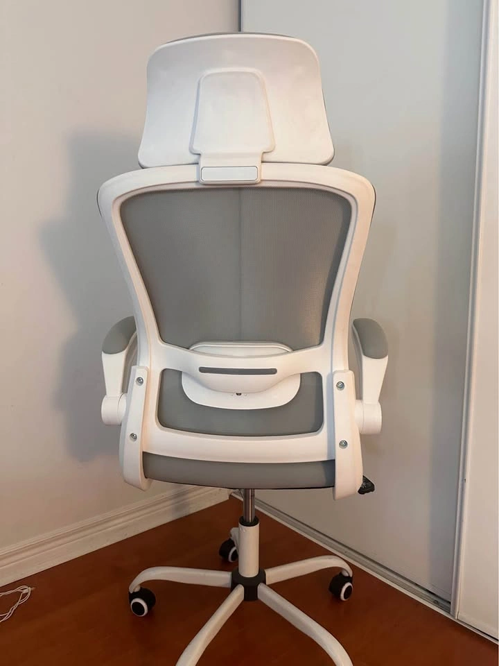 Ergonomic Office Chair - photo 3