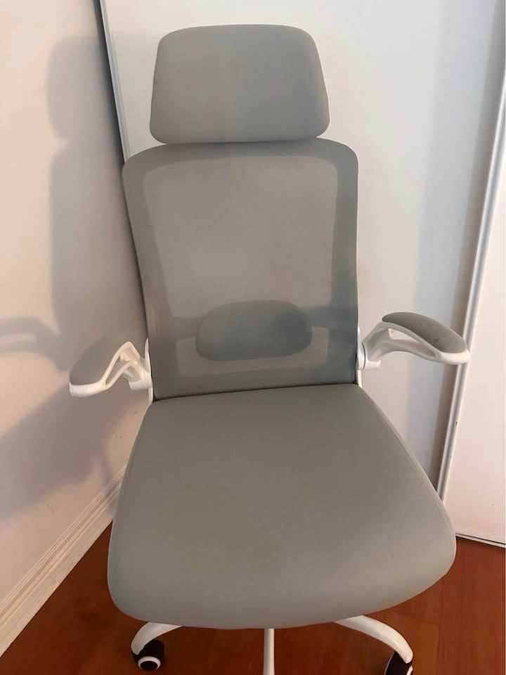 Ergonomic Office Chair - photo 4