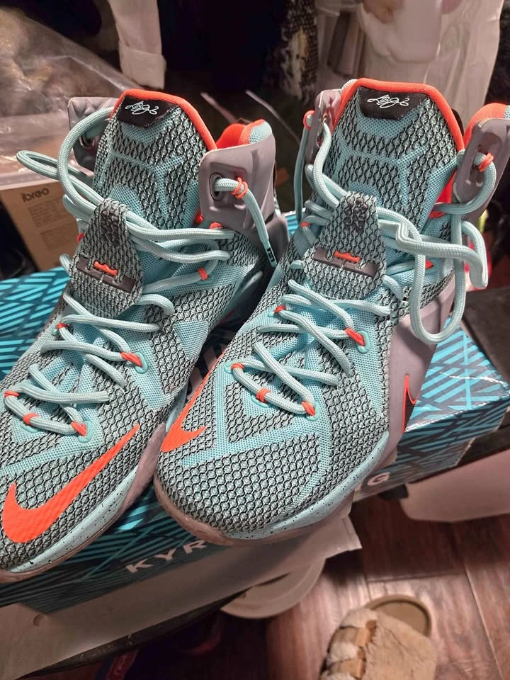 Nike LeBron 12 'What The' in size 10