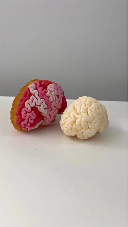 Small Anatomical Brain Models