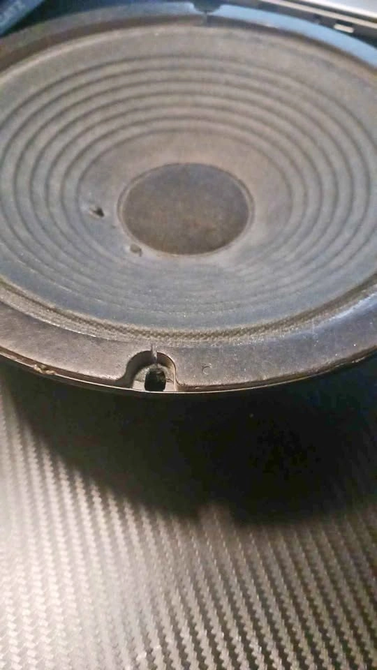 Fender Rumble speaker