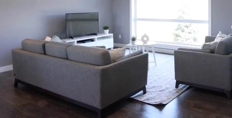 Sofa + loveseat - photo 4