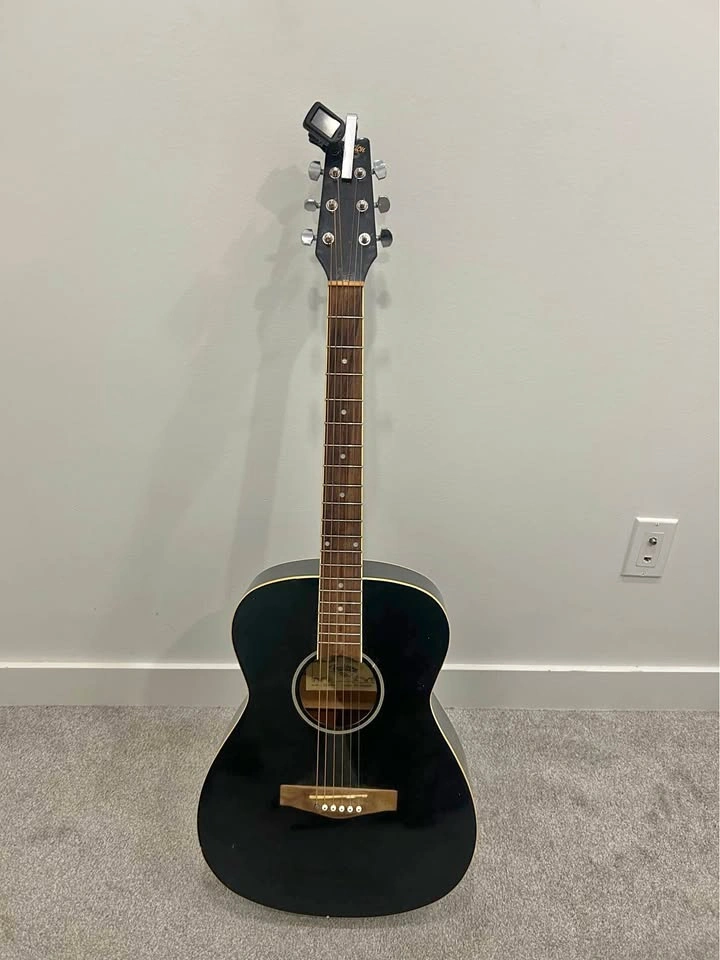 Guitar