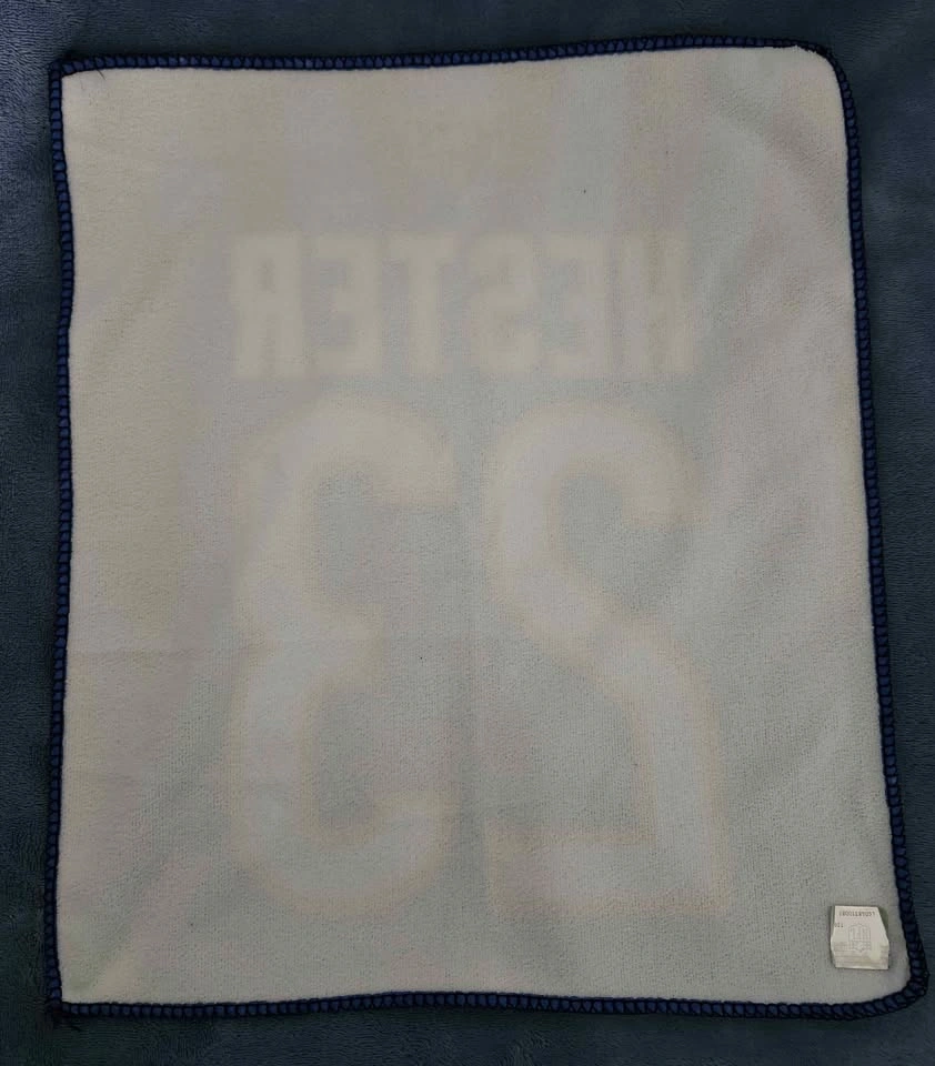 Chicago Bears Devin Hester Rally Towel & Autographed Picture - photo 3