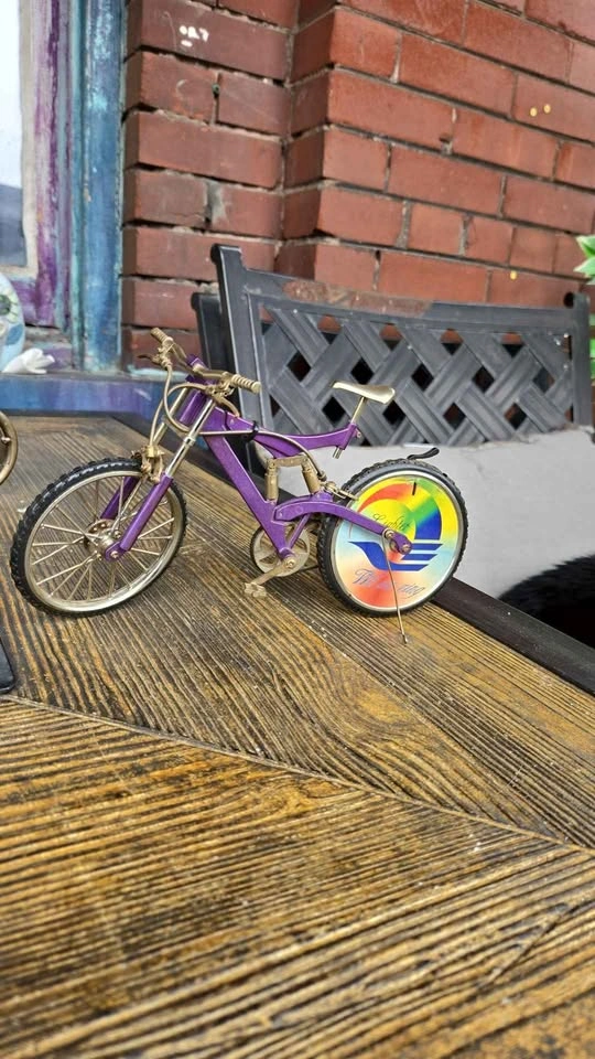 Wawa Xing mountain bike table lighter - photo 3