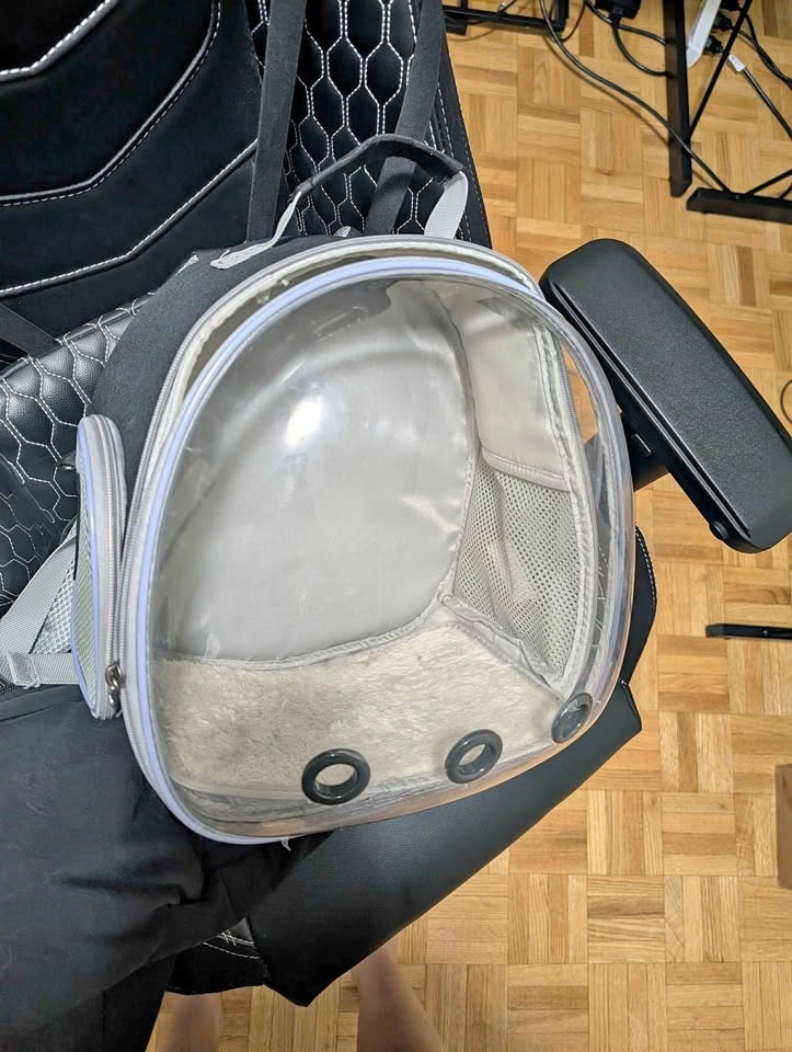 Clear Bubble Pet Carrier Backpack