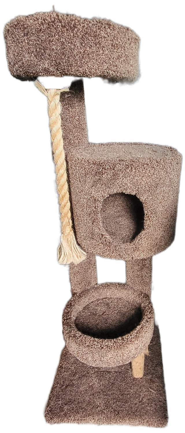 Cat Condo 65"