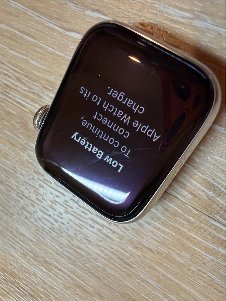 Apple Watch Series 6 LTE cellular stainless - photo 3