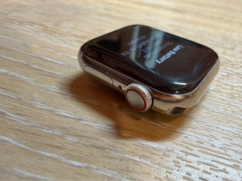Apple Watch Series 6 LTE cellular stainless - photo 4