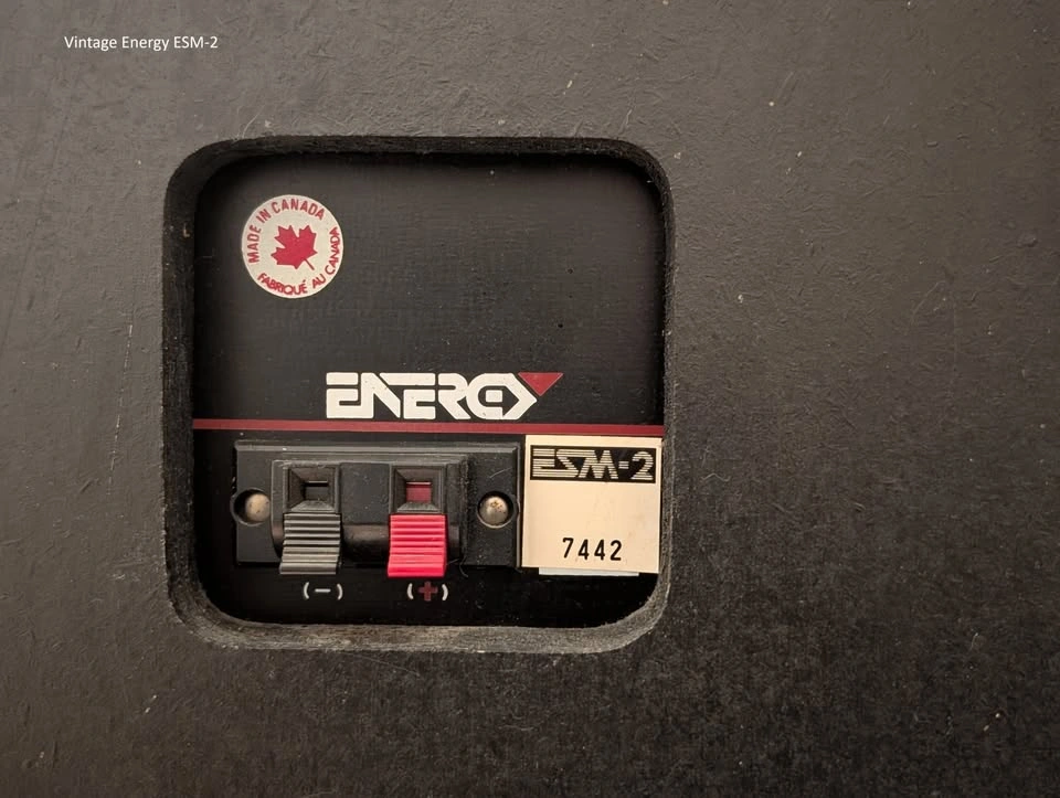 Vintage Energy ESM-2 Speakers - photo 4