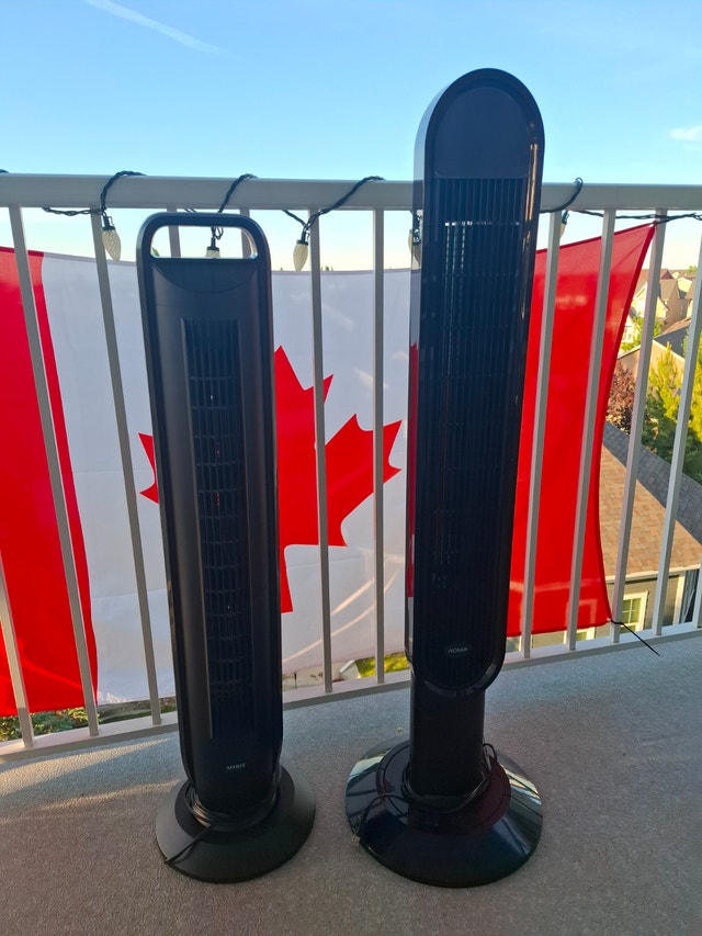 Pair of Tower Standing Fans