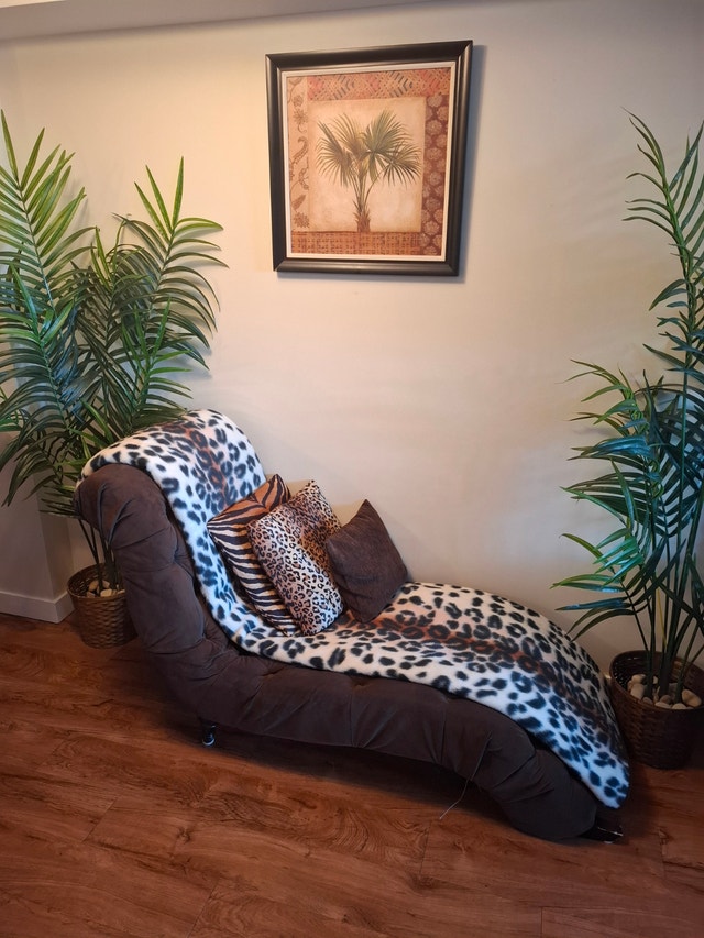 Chaise Couch with pillows and Leopard Throw
