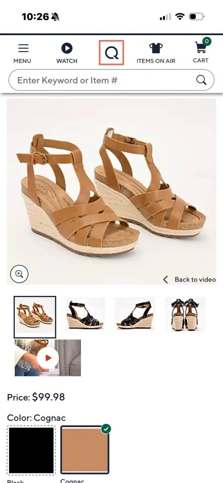 Earth Malera leather wedge sandals