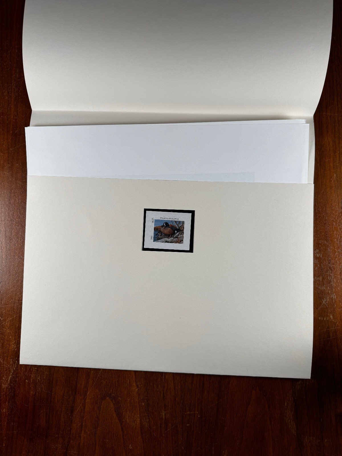 1995 Michigan Duck Stamp Print by Rod Lawrence Blue-winged Teal - photo 3