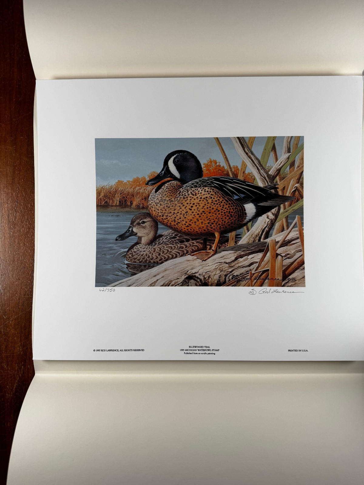 1995 Michigan Duck Stamp Print by Rod Lawrence Blue-winged Teal
