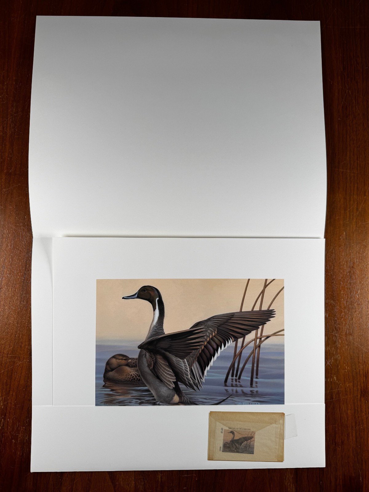 1998 Michigan Duck Stamp Art Print by Dietmar Krumrey #62/680 - photo 4